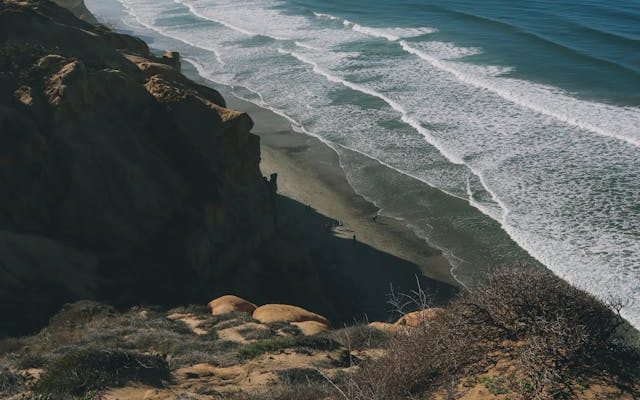 Torrey Pines San Diego